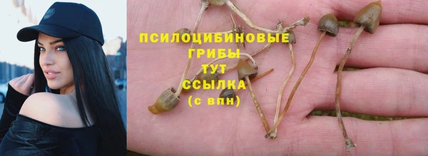 спайс Богородск