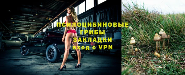 ALPHA PVP Богданович
