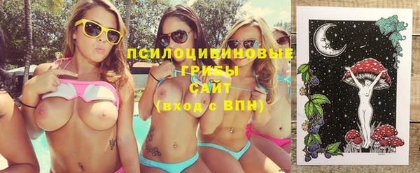 спайс Богородск