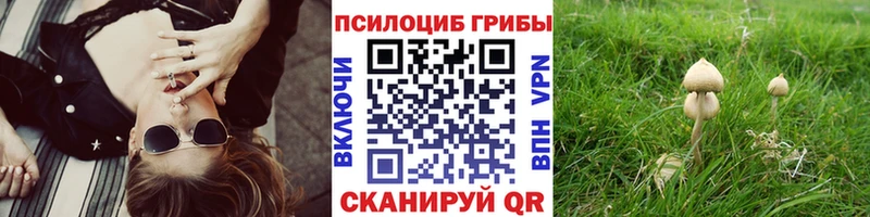 Галлюциногенные грибы Psilocybine cubensis  продажа наркотиков  Навашино 